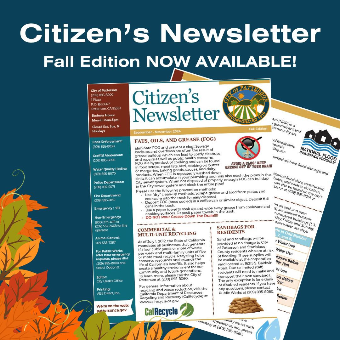 Citizens Newsletter Fall 2024 Edition ENG