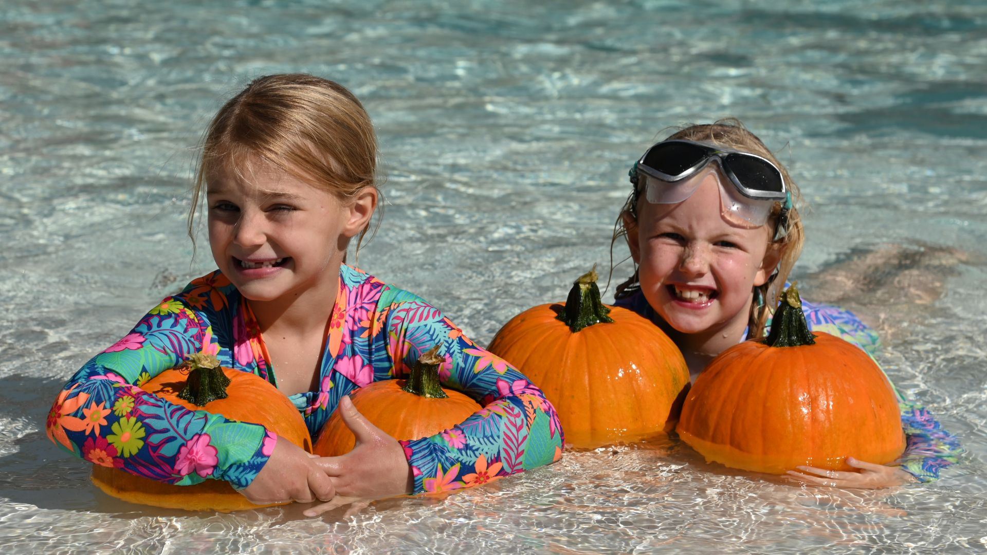 Floating Pumpkin Patch 2024