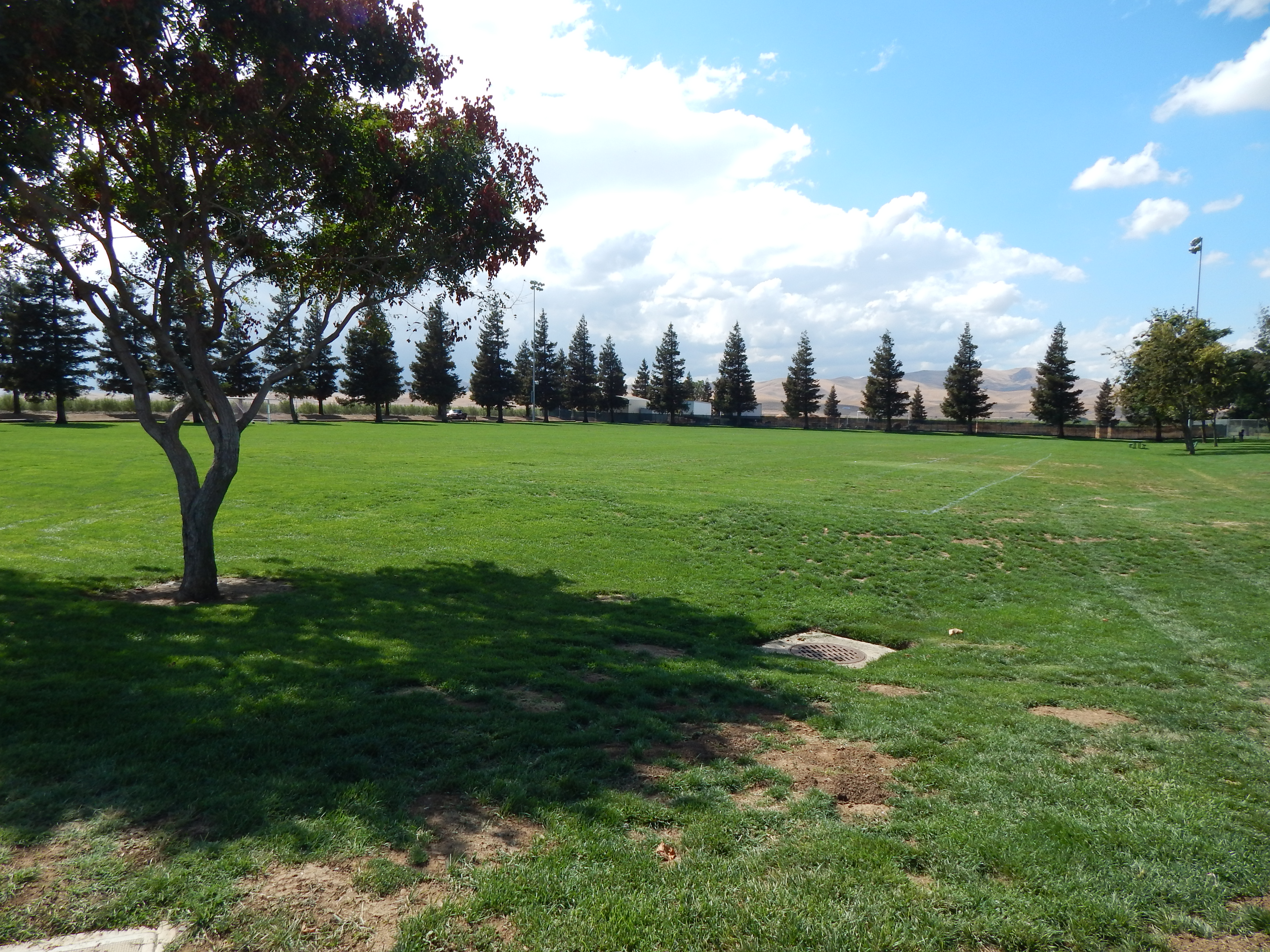 Sports Park Soccer Field